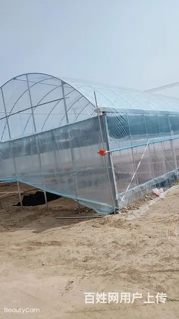 连栋保温大棚整体场地出售 - 图片 4