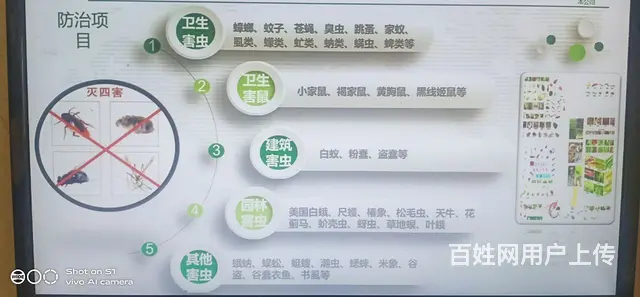 专业除甲醛，灭四害（老鼠，蟑螂，蚊蝇，白蚁） - 图片 2