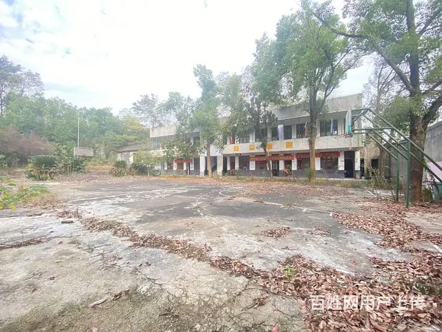 (房东直租)白箬铺319国道占地6亩场地，学校，可随时改厂房 - 图片 9