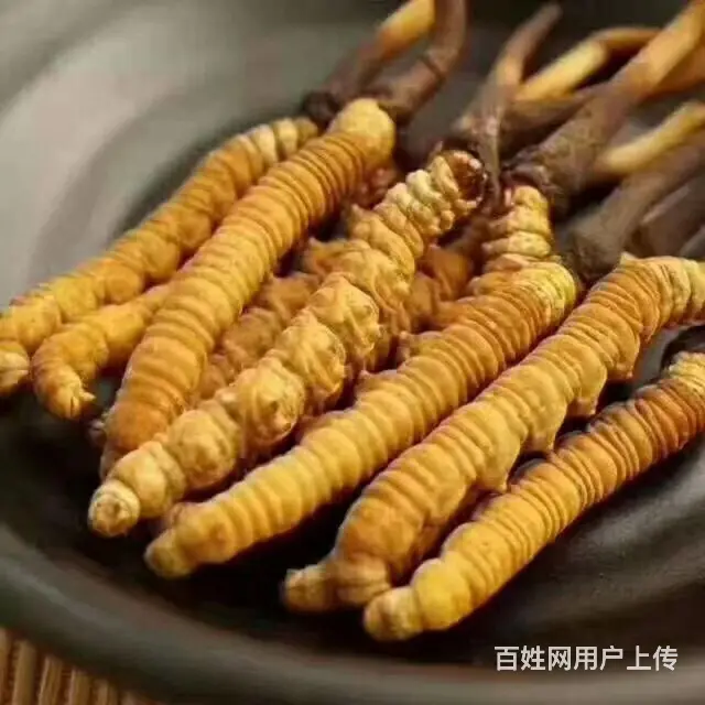 节假日预约面包车小型搬家拉人拉货电话很省钱哦 - 图片 3