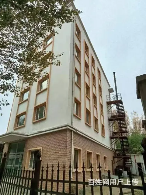【搞定了！】南岗区征仪南路1200米门市房东直租 - 图片 2