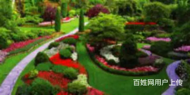 吉林湿地公园旁单价超低首付就一万支持各种贷款位置好 - 图片 8