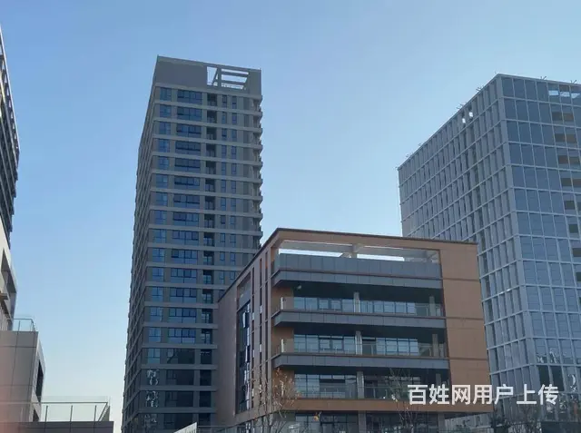 政务区独栋 通燃气 没有公摊 赠送顶层双露台 - 图片 7