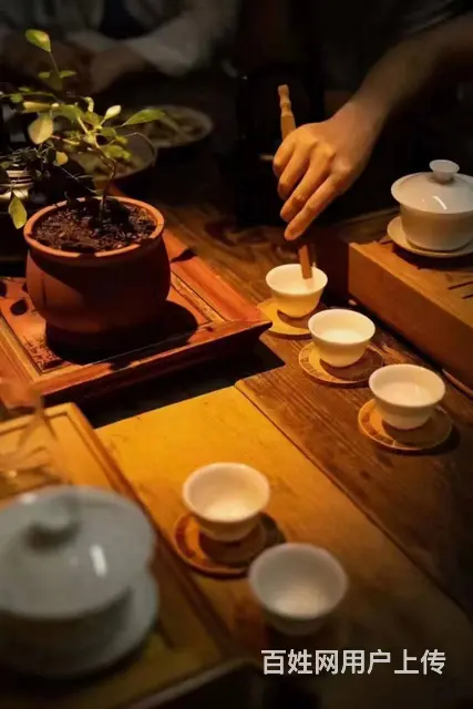 张家港哪里有茶艺师培训班 - 图片