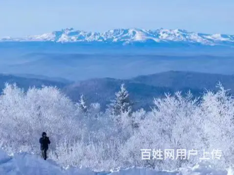呼伦贝尔满洲里哈尔滨旅游拼车旅游拼车电话包车司机领队 - 图片 1