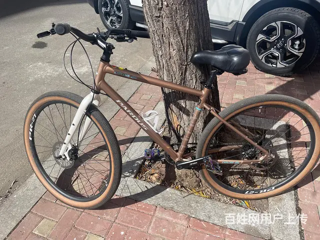 卖自行车 - 图片 9
