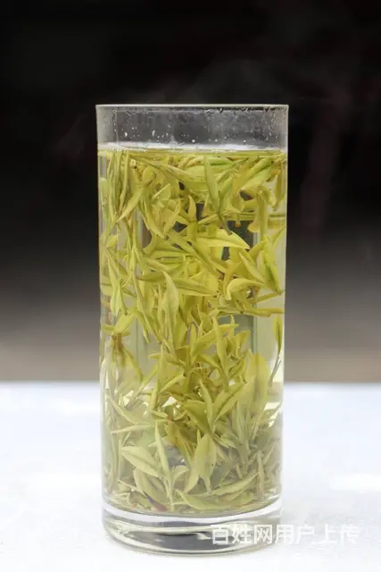 安吉白茶 明前头茶 原产地安吉直销 小戴白茶 - 图片 1