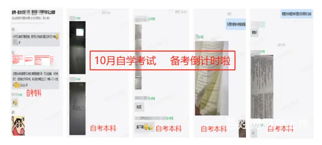 你适合哪种学历提升方式呢 - 图片 3