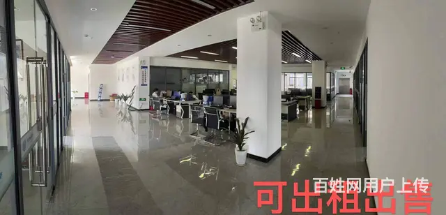 （老板本人）高新区全新标准厂房仓库招租  5849 - 图片 9