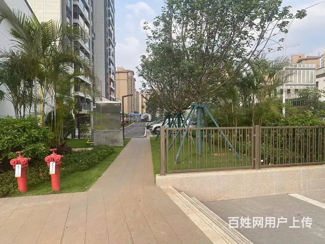 （51旺铺推荐）新大洲大道润山府74.17平商铺出租 - 图片 7