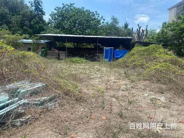 （51旺铺推荐）新开田2000平场地加500平铺面出租 - 图片 3