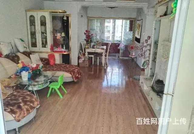 雷锋路小学上城国际 皖西中学  普通住宅2厅 豪华装修 - 图片 3