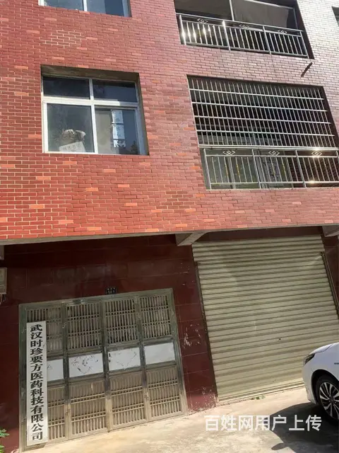 房东低价直租武汉阳逻七百平米厂房商铺配套齐全 - 图片 4