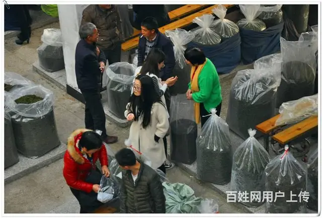 茶艺师资格证怎么考 - 图片 10