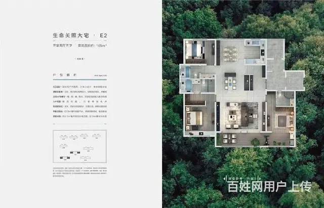 滨湖万丽洋房实体样板，南北通透，大开间大赠送 - 图片 11