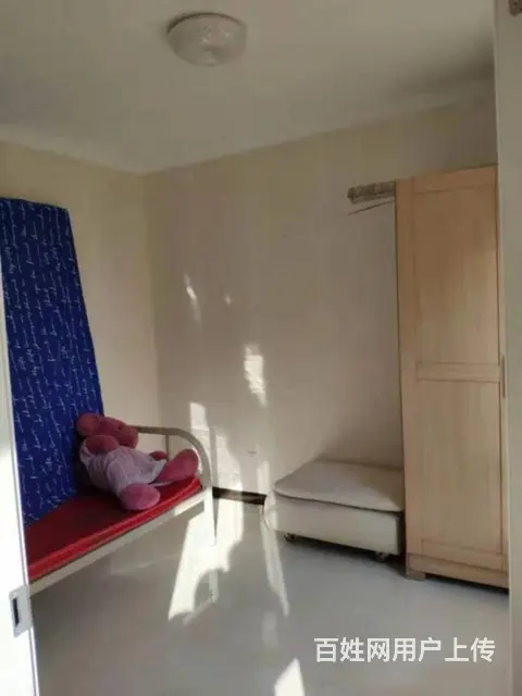 丽都新城(铁西)(铁西) 普通住宅 中等装修 - 图片 4