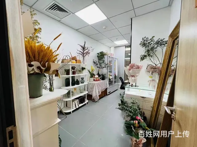 多种行业选择，当时就因为便宜又方便才选择 - 图片 4