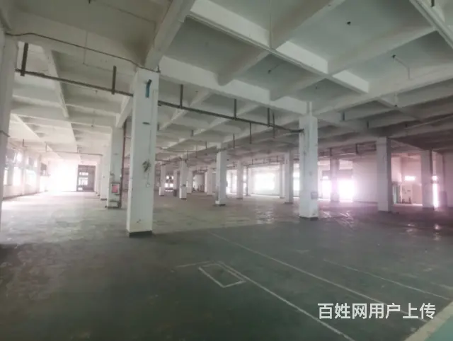 老城区春都路，2000平仓库厂房出租，可分租 - 图片 2