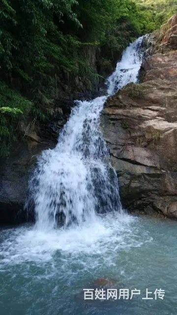 金鼎，唐家怡宝，加林山桶装水直营店配送 - 图片 3