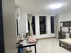 禾峰大厦复式公寓3室一厅2卫