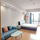 海珠区合生广场 商住两用1室1厅 精装修