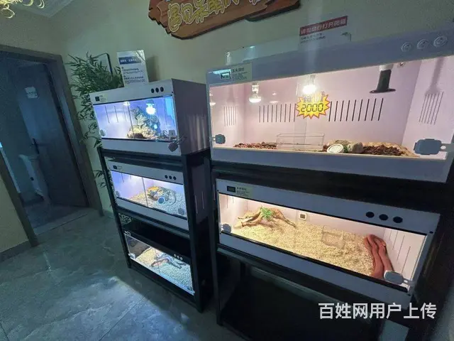 （兴铺）市中心主题电玩桌游店因老板怀孕整体转让 - 图片 9