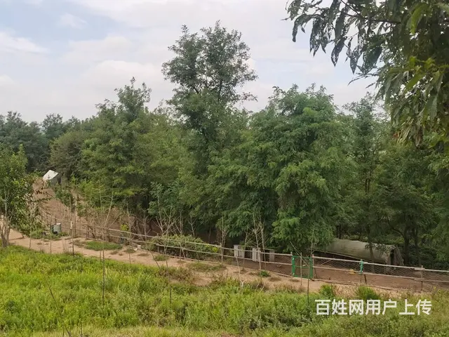 个人农场出租转让 - 图片 5