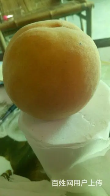 供应各种优质果树苗 - 图片 7