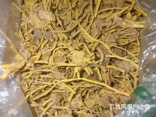 成都征女友之为了中国梦偏向虎山行！ - 图片 1