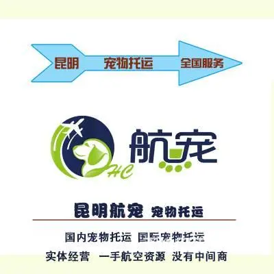 昆明宠物国内国际托运，真正的宠物托运公司，无中间商 - 图片
