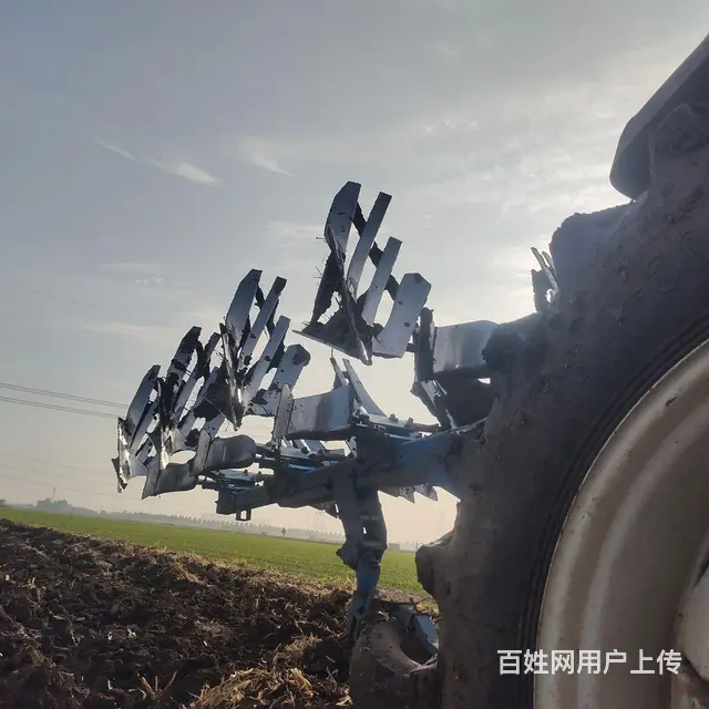 干活中450大梨 - 图片 2