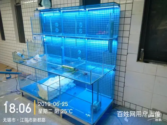 定做海鲜缸 - 图片 2