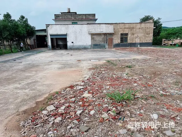 （老板本人）安沙107国道边优质厂房仓库带场地出租 6447 - 图片 2