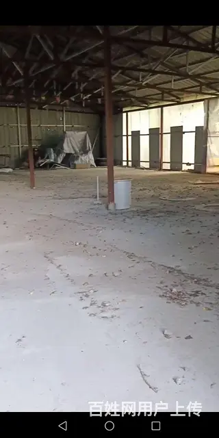 松北区滨北桥东景观大道厂房库房出租出售 - 图片 1