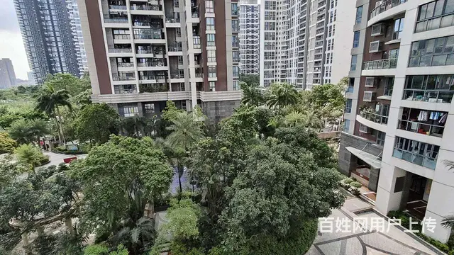 南屏 中信红树湾旁公园道 精装 居住舒适 干净整洁 随时入住 - 图片 11