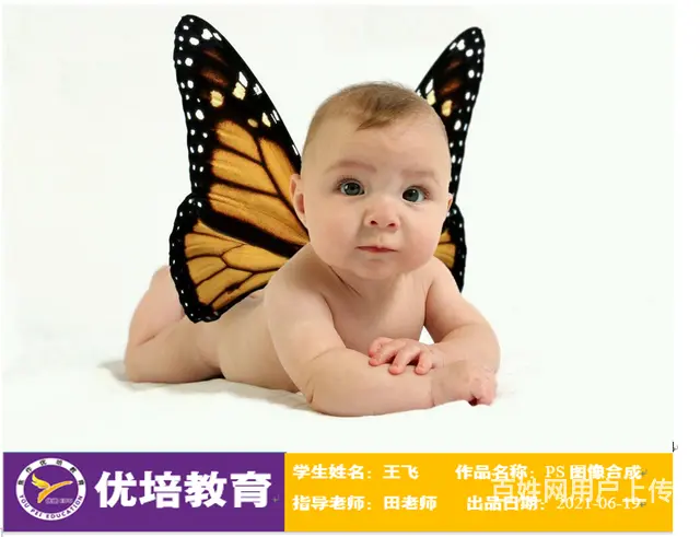 优培教育设计中心带你开启设计全技能 - 图片 2