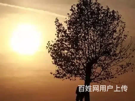 怎样让小三不好过怎么让老公收拾小三原配应该怎么委婉给小三发信 - 图片 3
