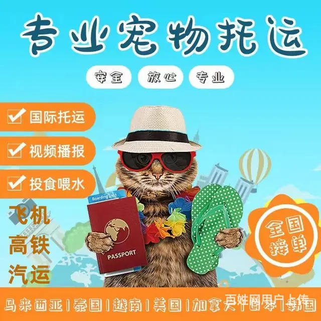 洛阳偃师宠物托运（猫狗）活体运输邮寄 （2023今日 推荐） - 图片 1