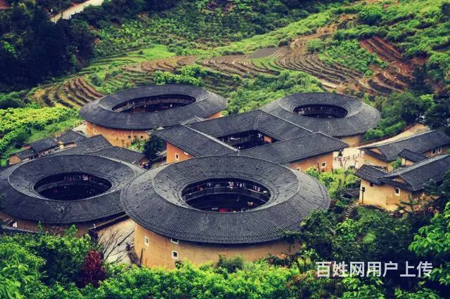 厦门国旅国际旅行社_口碑好服务佳、品牌质量有保证！ - 图片 12