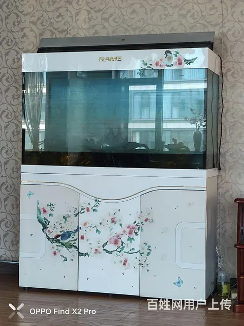 鱼缸 - 图片