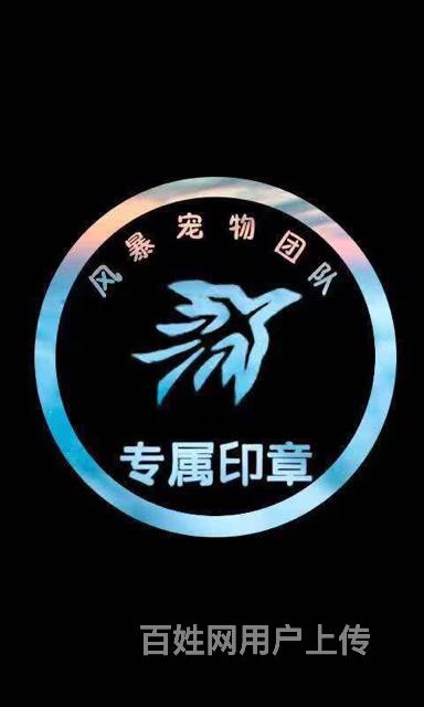 天佑犬业 各色顶级法牛种公找媳妇