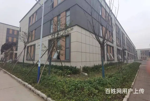 泰州市高港区周边1600平标准框架厂房出租出售 - 图片 10