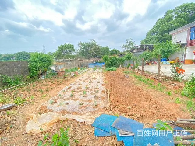 (房东直租)秋江线旁30亩鱼塘，带15亩房屋场地出租，可分租 - 图片 7