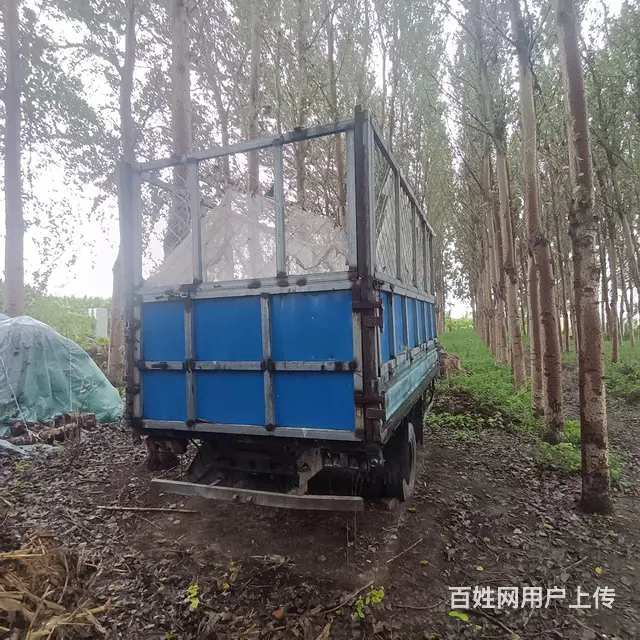 15立草车出售 - 图片 1