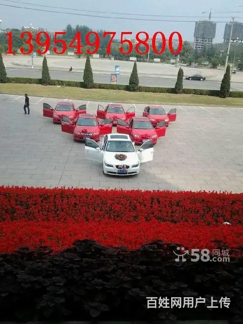 龍鳯缘婚车 马六 宝马专业婚车俱乐部 各种中高端婚 - 图片 5