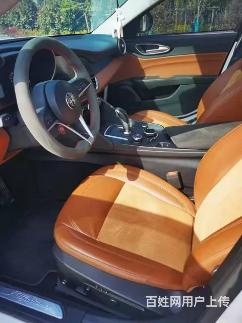 阿尔法-罗密欧Giulia 2018款 2.0T 手自一体 - 图片 8