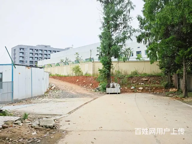 （老板本人）长沙县榔梨街道整栋厂房/仓库出租  6491 - 图片 10