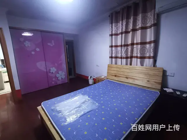 独栋    个人房屋出租，非中介 - 图片 5