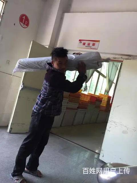 雨虹防水堵漏公 - 图片 2