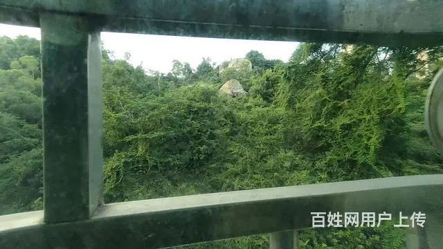 吉大 肆中旁 海莲山庄 精装2房 给你一个温馨的家 - 图片 11